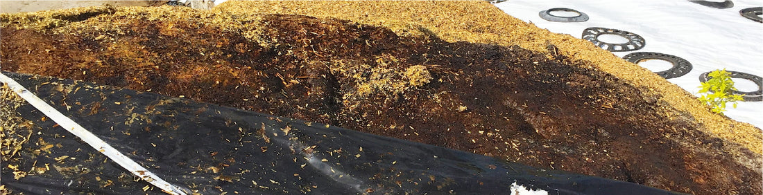 Why Silage Clamp Losses Cost More in 2026 Than Most Farms Realise