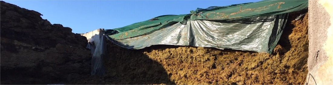 Vertical Silage Clamp Walls… FAILED (again)