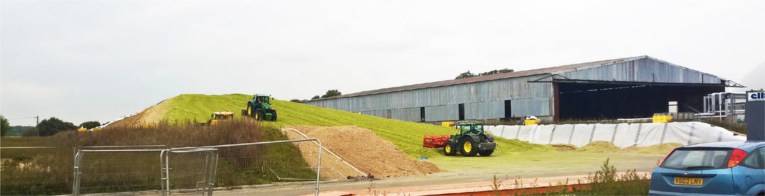 Clamp management priorities play key role in lifting milk from forage