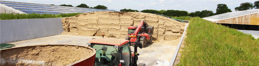 How Better Forage Management Protects Margin from Field to Feedout